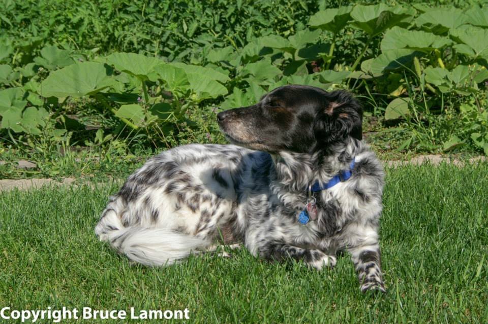 11015126 10150552822319959 5684850286674523384 n