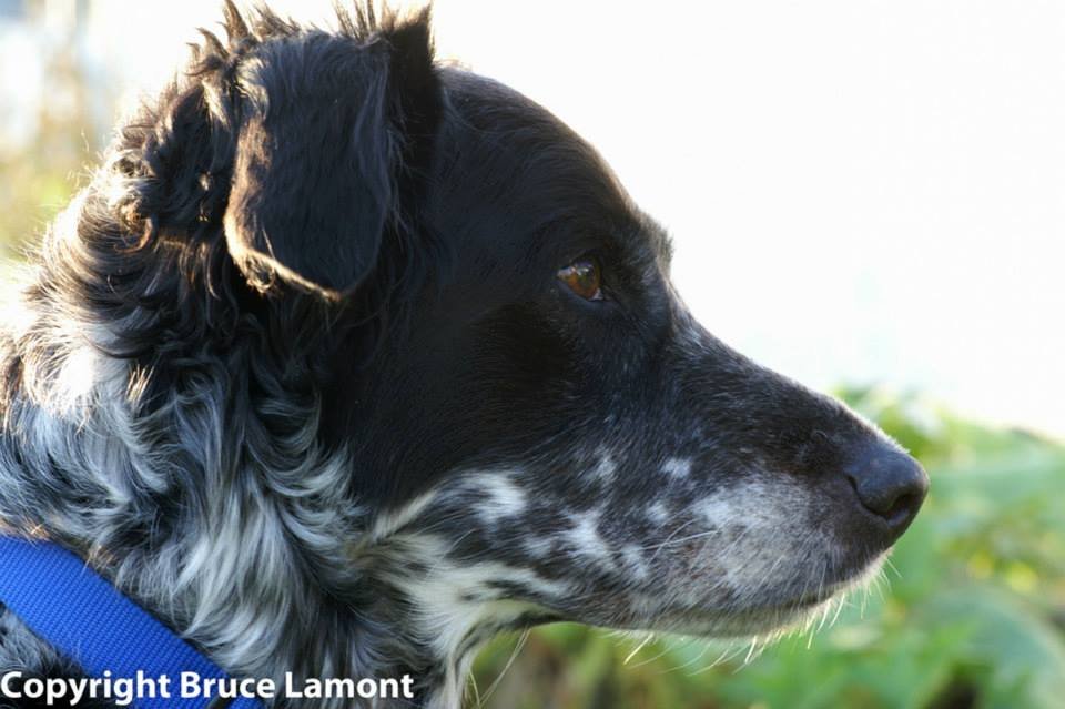 11026237 10150552822304959 5797239668084399310 n