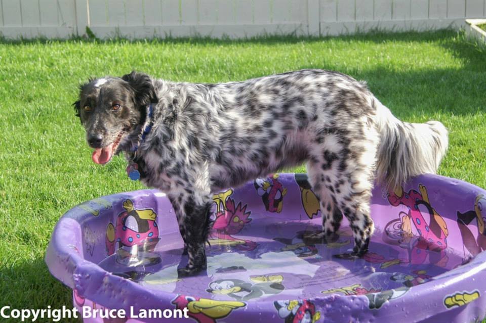 11034117 10150552822199959 1370836861906124911 n